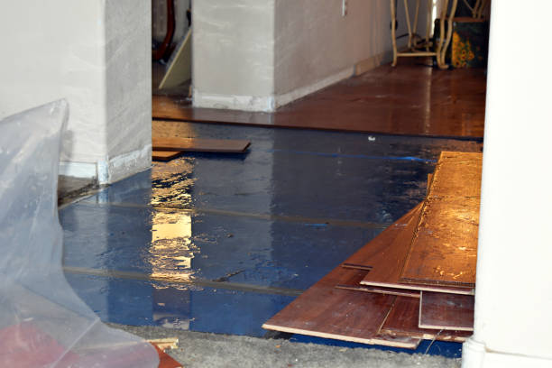 Professional Flood Cleanup technician working in Roscommon, MI